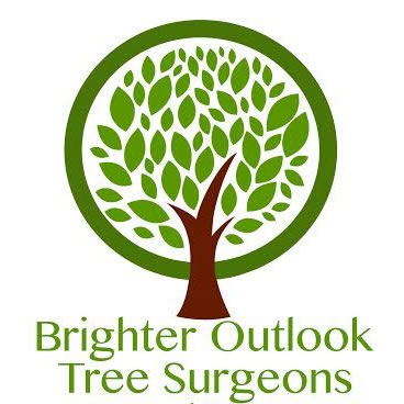 Brighter Outlook Tree Surgeons
